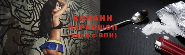 шишки Яранск