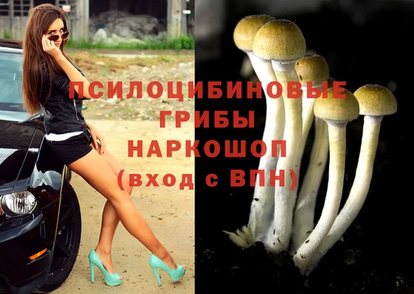 дмт Покачи
