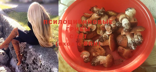 дмт Покачи
