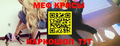 СК Бийск