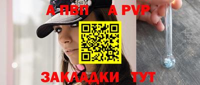 СК Бийск