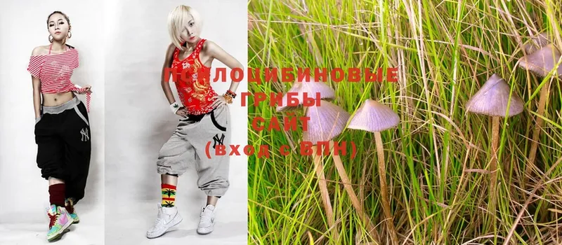 Галлюциногенные грибы MAGIC MUSHROOMS  Донецк 