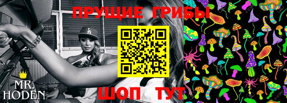 Галлюциногенные грибы MAGIC MUSHROOMS  Вход с VPN  Донецк 