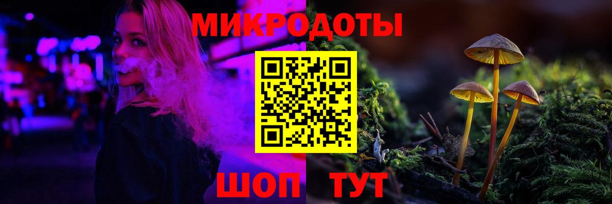 Галлюциногенные грибы Psilocybine cubensis Донецк